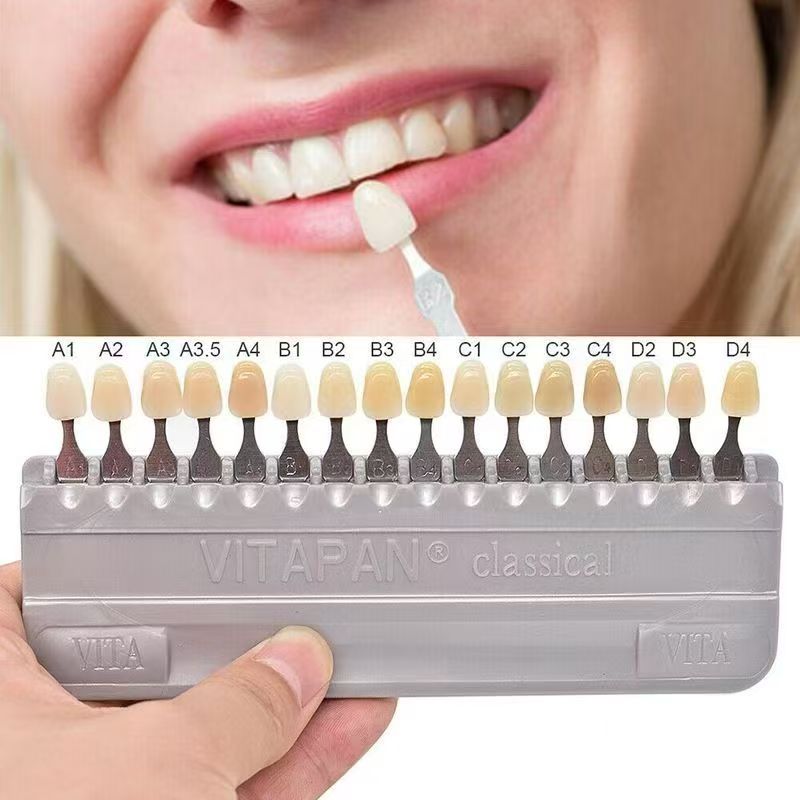 VITA 16 Colors Teeth Shade Gui - Whitening Teeth Dentist 评论和价格