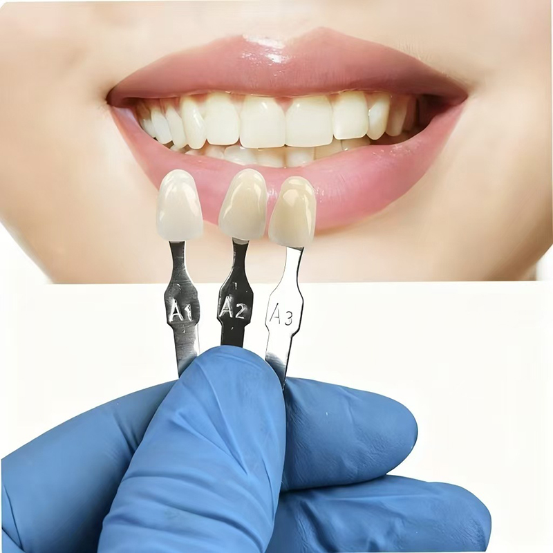 VITA 16 Colors Teeth Shade Gui - Whitening Teeth Dentist 评论和价格
