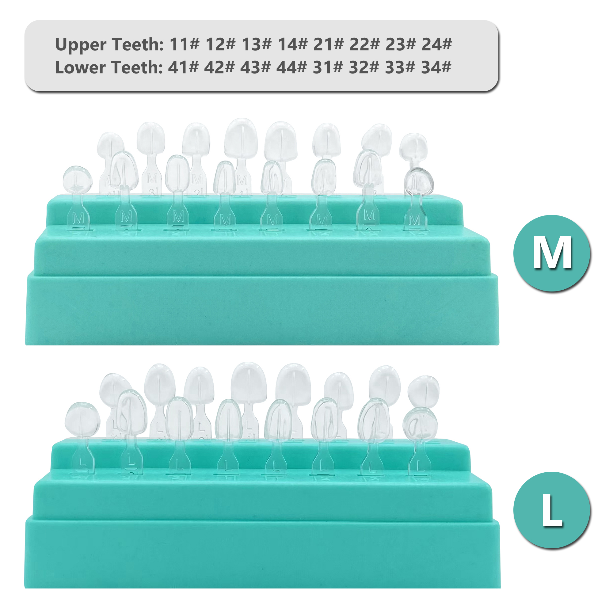 32Pcs New Dental Veneer Mould  - Teeth Whitening Moulds 评论和价格