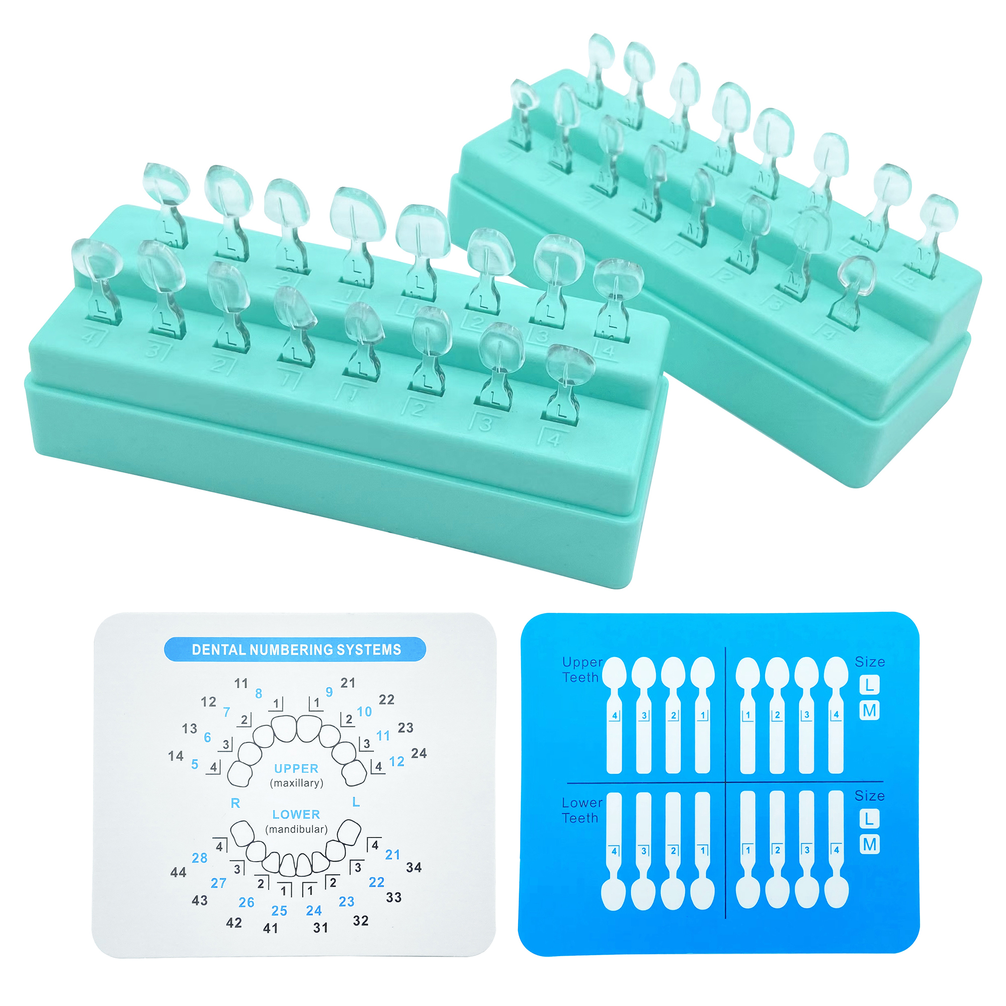 32Pcs New Dental Veneer Mould  - Teeth Whitening Moulds 评论和价格