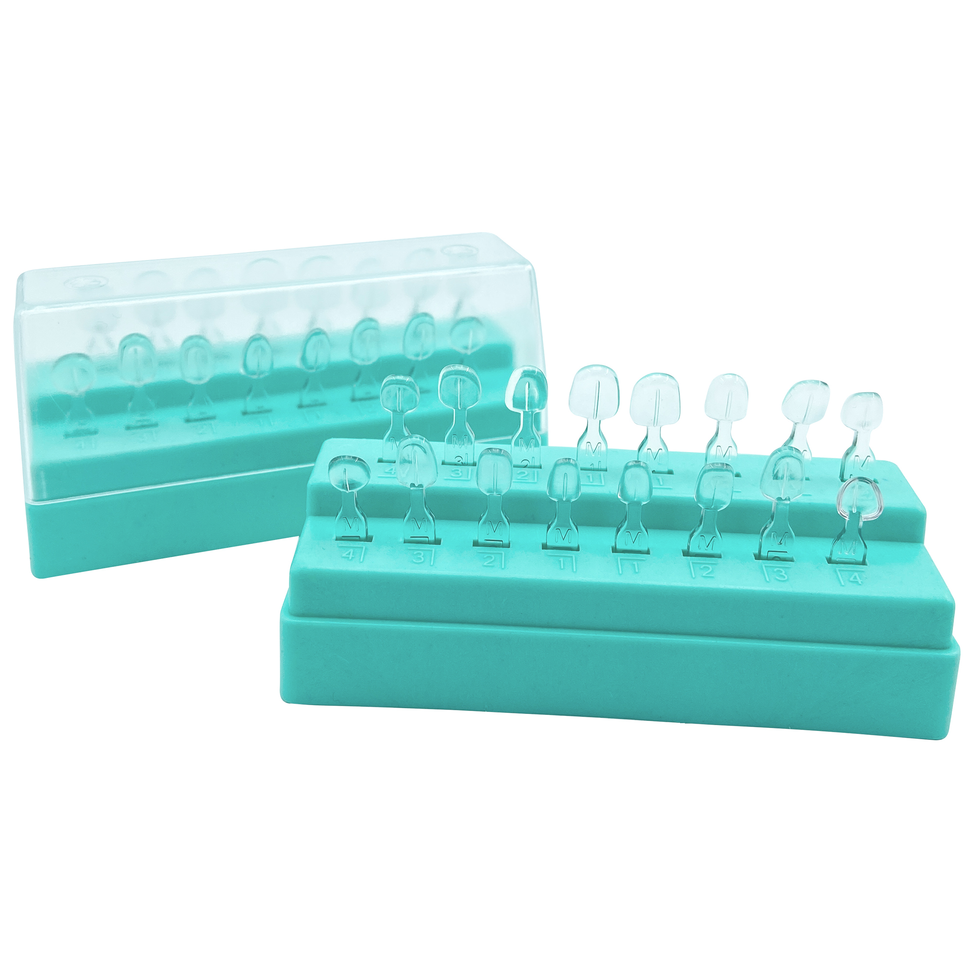 32Pcs New Dental Veneer Mould  - Teeth Whitening Moulds 评论和价格