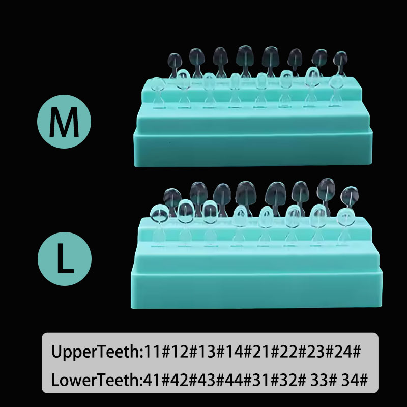 32pcs/Set Composite Resin Mold - Teeth Whitening Moulds 评论和价格