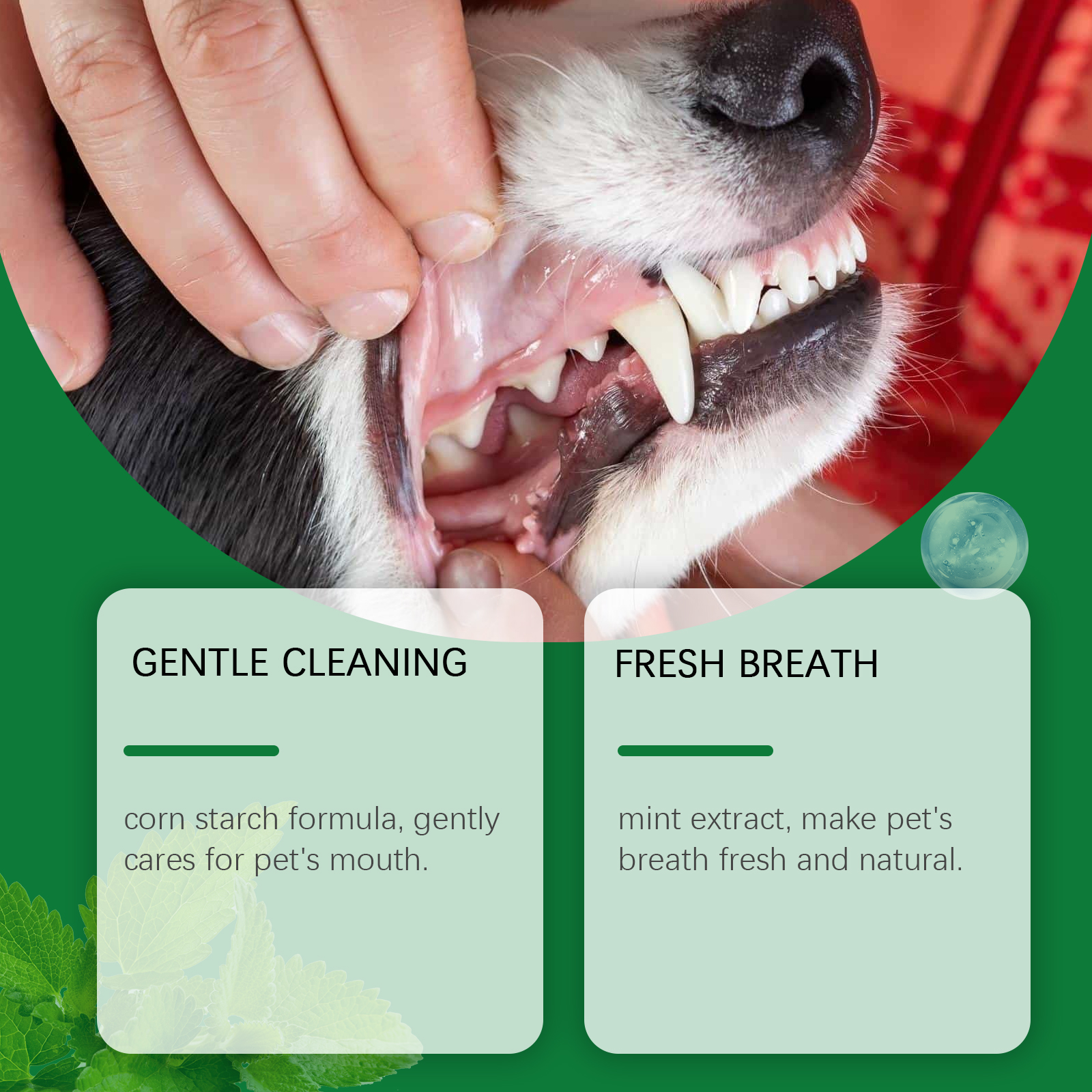 Pet Teeth Cleaning Powder Redu - Teeth Whitening Hismile 评论和价格