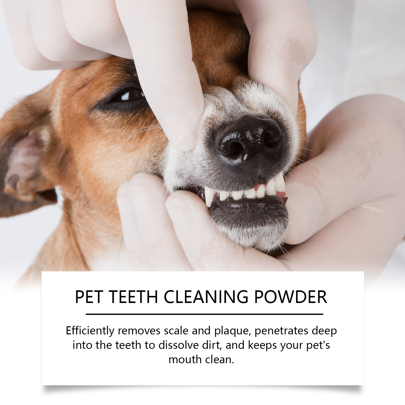 Pet Teeth Cleaning Powder Redu - Teeth Whitening Hismile 评论和价格