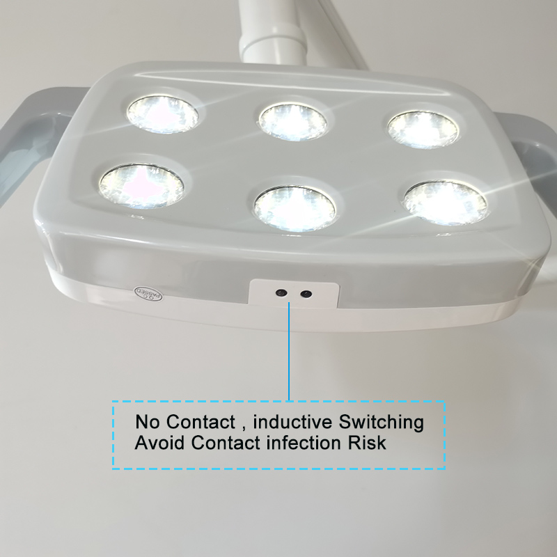 6LED Dental LED Lamp Oral Ligh - Whitening Teeth Dentist 评论和价格